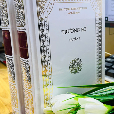 Sách - Trường Bộ Kinh (Trích nguyên tác trong bộ 37 cuốn - Đại Tạng Kinh Việt Nam, bìa cứng)