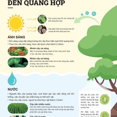 Sách - Đột Phá Tư Duy Khoa Học Tự Nhiên 7 - Tập 2