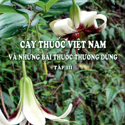 Sách - Combo trọn bộ Cây thuốc Việt Nam và Những bài thuốc thường dùng (Trọn bộ 4 cuốn)