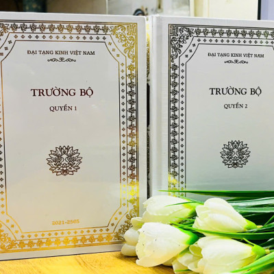 Sách - Trường Bộ Kinh (Trích nguyên tác trong bộ 37 cuốn - Đại Tạng Kinh Việt Nam, bìa cứng)