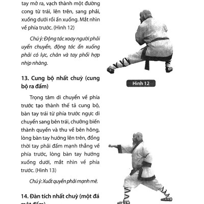 Thiếu Lâm Tự Quyền Phổ Tập 2 - Tâm Ý Môn