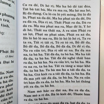 Lương Hoàng Sám Tái Bản - Bìa Da (tặng kèm bao sách)