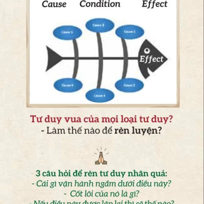 Combo: Góc Nhìn AQ + Bộ thẻ Rèn Trí Sáng Suốt (Giúp bạn đủ tinh tấn, kỹ năng, nâng cao chỉ số vượt qua nghịch cảnh AQ). Bộ quà tặng 11 khoá học phát triển kỹ năng 22 triệu