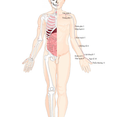 Đồ Giải Kinh Lạc Huyệt Vị Cơ Thể (Tái Bản 2023)