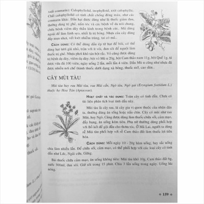 Sách Cây Thuốc Nam - Những Bài Thuốc Quí Từ Dân Gian (V1255P)