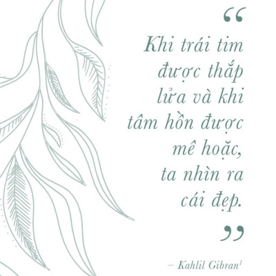 	Bách Khoa Thư Về Đẹp - 45 Liệu Pháp Nuôi Dưỡng Vẻ Đẹp Toàn Diện _AZ