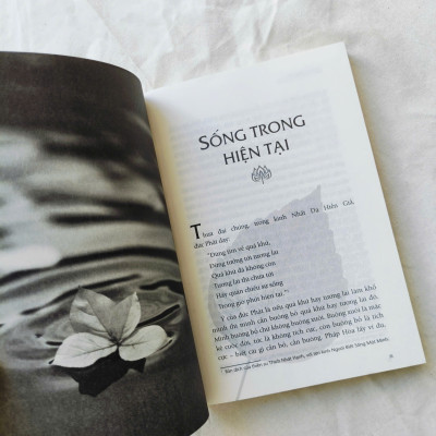 Con Đường Chuyển Hóa + Chia Sẻ Từ Trái Tim (Thầy Thích Pháp Hòa)