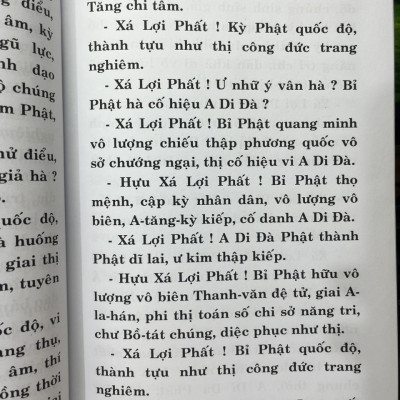 Sách - Chư Kinh Nhật Tụng - Các bộ kinh Phật quan trọng cho Phật tử tụng niệm mỗi ngày