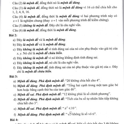 Sách Tham Khảo Toán 10 (Dùng Chung Cho Các Bộ SGK Hiện Hành) - HA