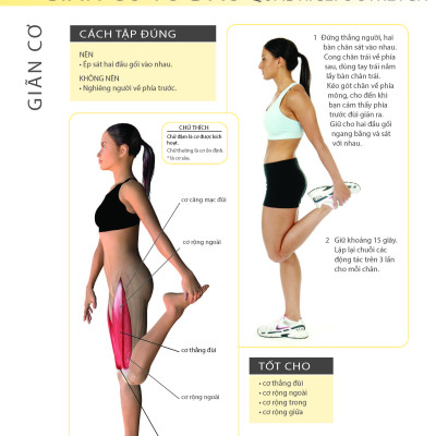 Khỏe Đẹp Với Các Bài Tập Cơ Bản