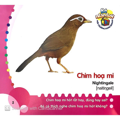 Bé Nhận Biết Môi Trường Xung Quanh - Chim - Bản Quyền