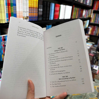 Sách - Nobody Knows My Name More Notes of a Native Son by James Baldwin - Penguin Modern Classics - Sách Ngoại Văn