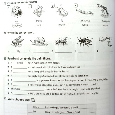 Starlight: Level 5: Workbook