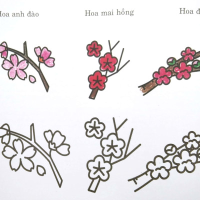 Bàn Tay Nhỏ Vẽ Tranh - Thực Vật Phong Phú