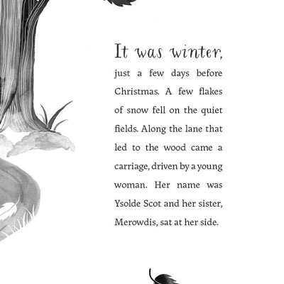 Sách ngoại văn: The Wood At Midwinter