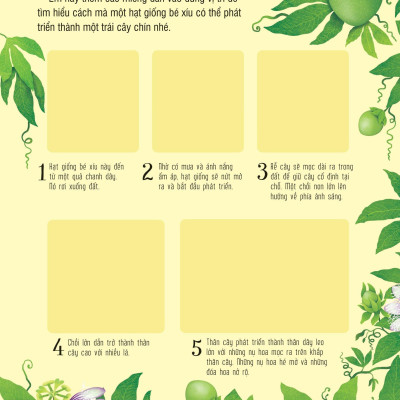 First Sticker Book - Sách Dán Hình Đầu Đời Cho Bé - Trái Cây Và Rau Củ