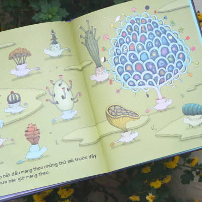 Sách Hạt giống của Mặt Trăng dành cho bé từ 3-9 tuổi Đinh Tị Books