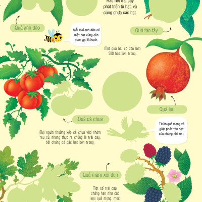 First Sticker Book - Sách Dán Hình Đầu Đời Cho Bé - Trái Cây Và Rau Củ