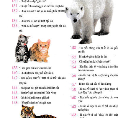 Khám Phá Những Bí Ẩn Về Động Vật (Tái Bản)
