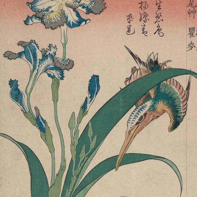 Sourdough - A Complete Guide And Recipe Book