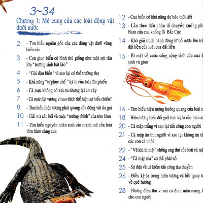 Khám Phá Những Bí Ẩn Về Động Vật (Tái Bản)