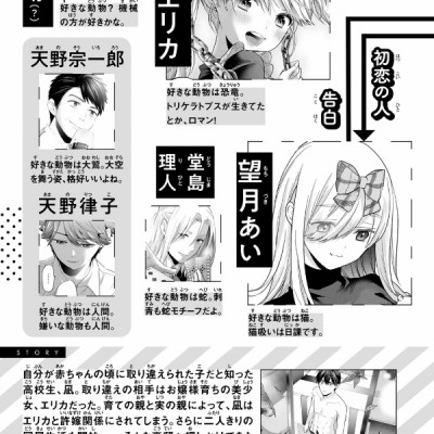 A Couple Of Cuckoos 17 (Japanese Edition)