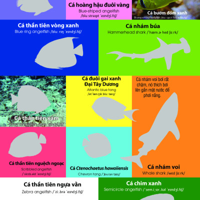 Dán Hình Nhận Biết Động Vật - Động Vật Biển (Song Ngữ Việt-Anh)