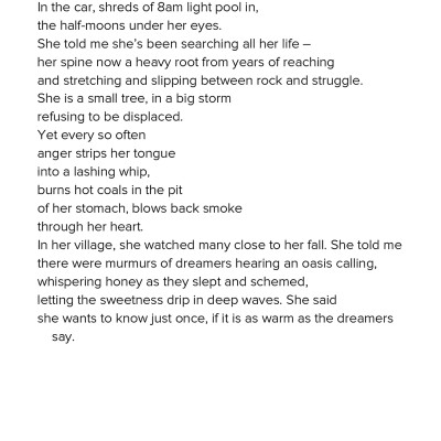 She Will Soar