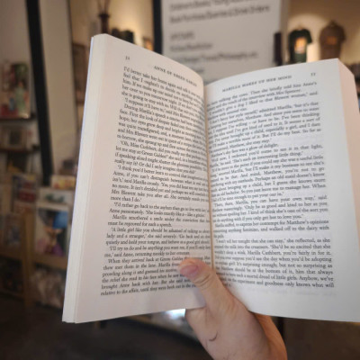 Sách - Anne of Green Gables (Wordsworth Exclusive Collection) by L.M. Montgomery - Classics /Fiction in English