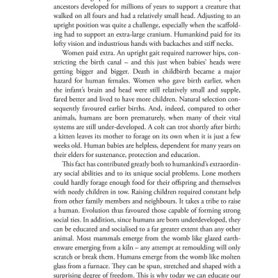 Sapiens : A Brief History of Humankind (Patterns of Life)