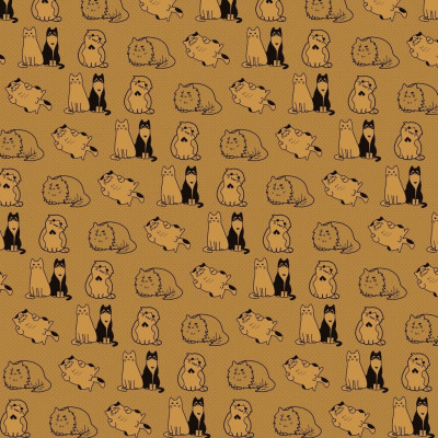 Busamen miêu kí - Bản Quyền