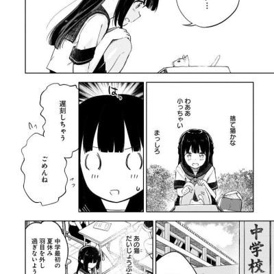 Seishun Buta Yaro Wa Yumemiru Shojo No Yume Wo Minai 1 (Japanese Edition)