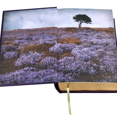 Artbook - Sách Tiếng Anh - Selected Works of the Bronte Sisters (Leather-bound Classics)