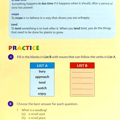 Exploring Reading Book 6