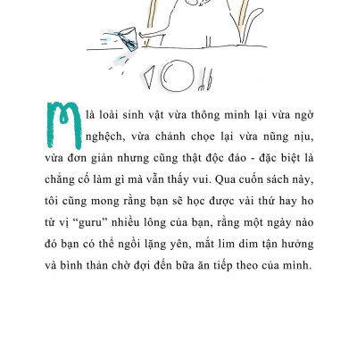 Guru Meo Meo  – Hôm Nay Tôi Muốn Làm Mèo