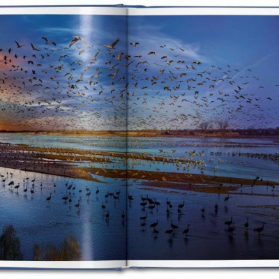 Artbook - Sách Tiếng Anh - Day To Night