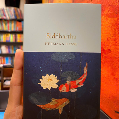 Sách kinh điển - Siddhartha by Hermann Hesse, bìa cứng, khổ pocket dát vàng, nhập khẩu UK