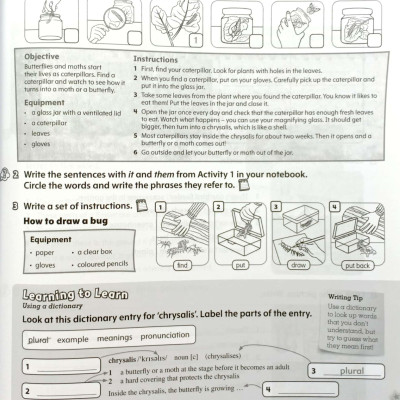 Starlight: Level 5: Workbook