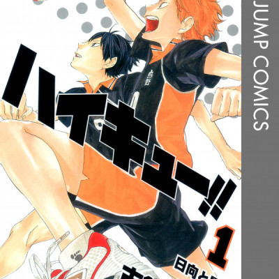 Haikyu!! 1 (Japanese Edition)