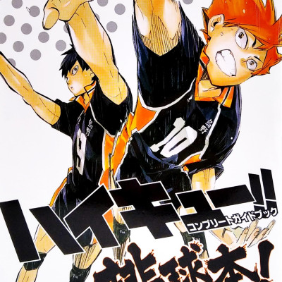 Haikyu!! Complete Guide Book