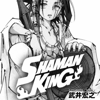 SHAMAN KING 2