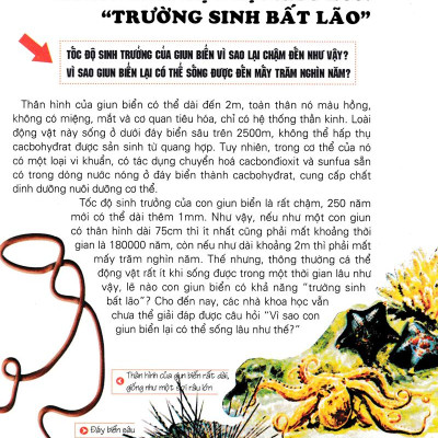 Khám Phá Những Bí Ẩn Về Động Vật (Tái Bản)