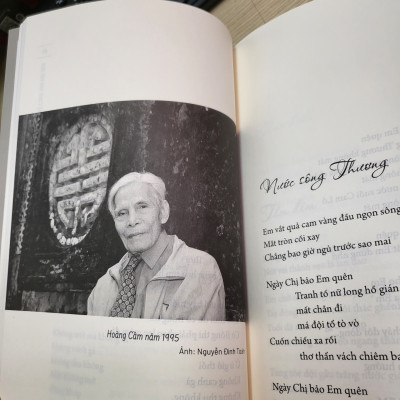 Hoàng Cầm 100 bài - Bìa mềm 