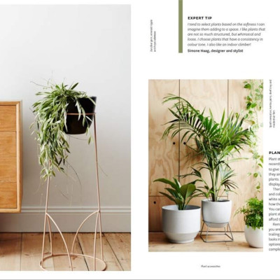 Plant Style: How To Greenify Your Space