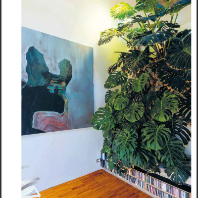 Ultimate Wonder Plants : Your Urban Jungle Interior