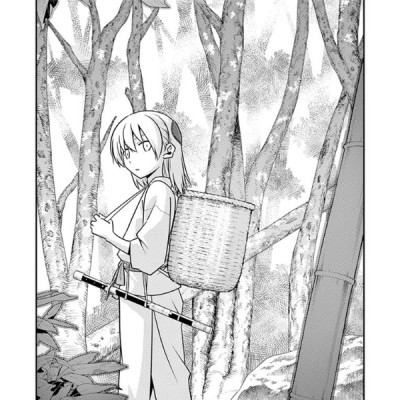 Tonikaku Kawaii 14 - Fly Me To The Moon 14 (Japanese Edition)