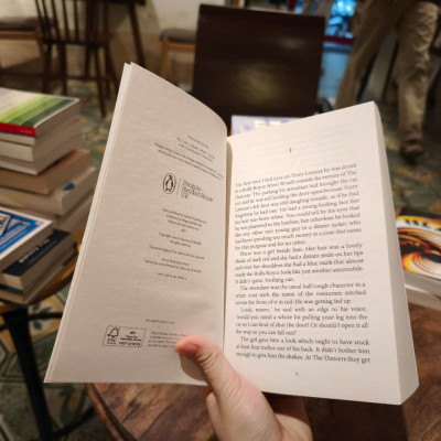 Sách - The Long Good-bye by RayMond Chandler - Mystery / Fiction / Crime in English