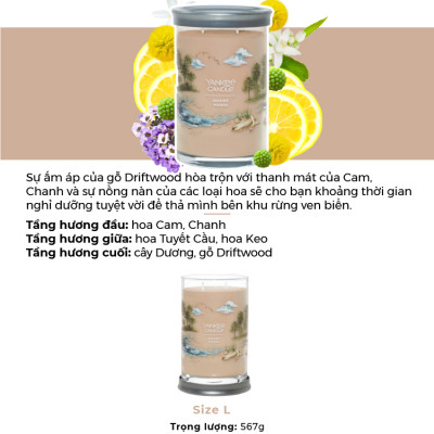 Nến ly tròn sáp đậu nành Yankee Candle size L (567g) - Seaside Woods