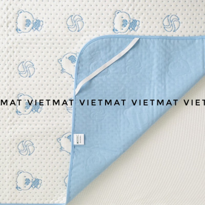 Tấm Lót Chống Thấm VIETMAT (70 x 100 cm)