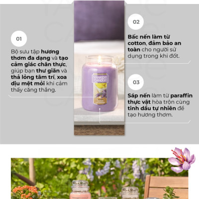 Nến hũ Yankee Candle size S - Bahama Breeze (104g)